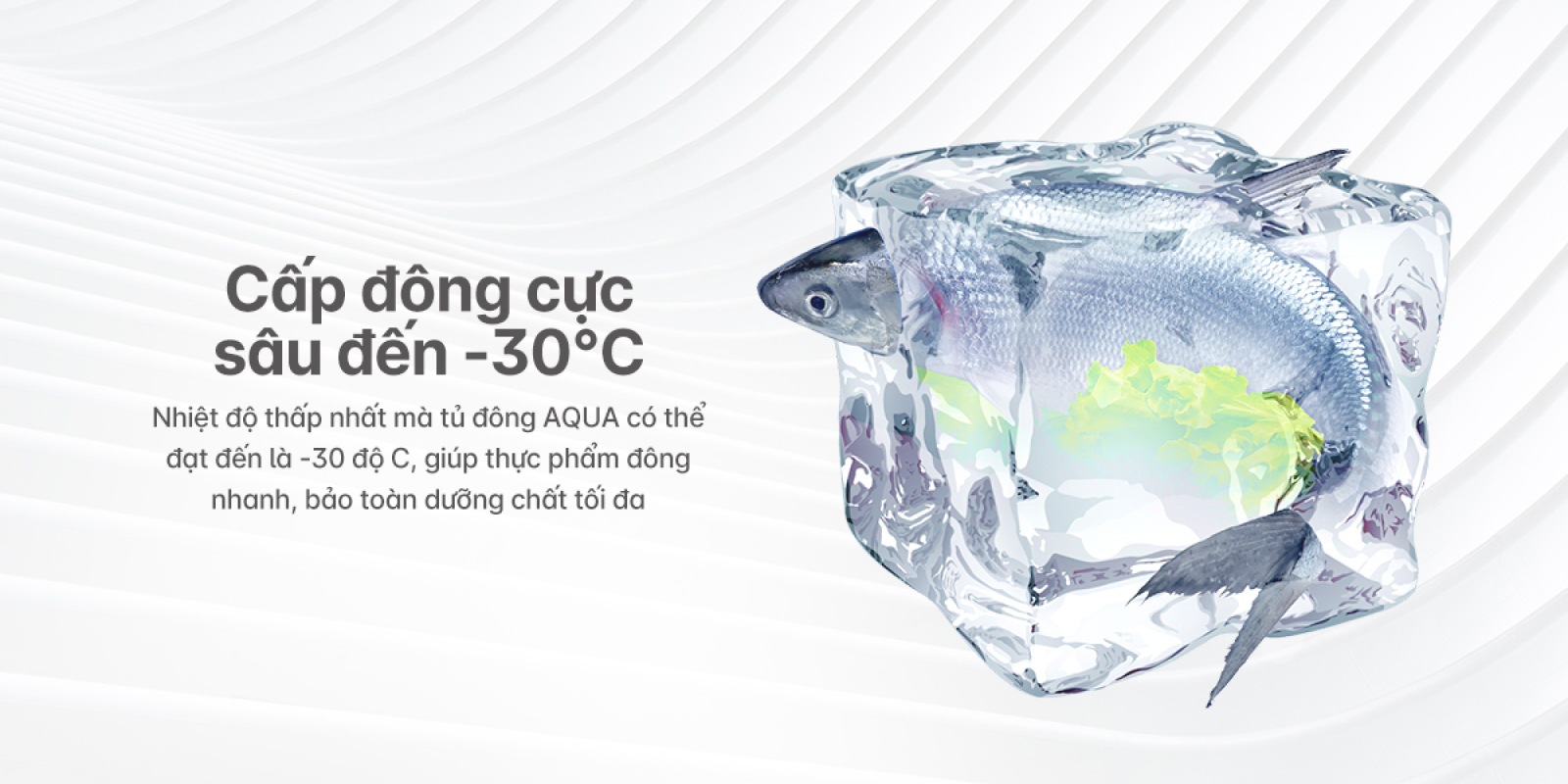 1. Cấp đong âm 30 độ