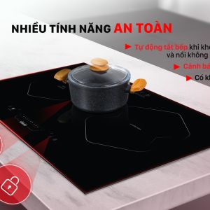 Bếp từ hồng ngoại đôi kết hợp Đại Việt DVC-200002 1