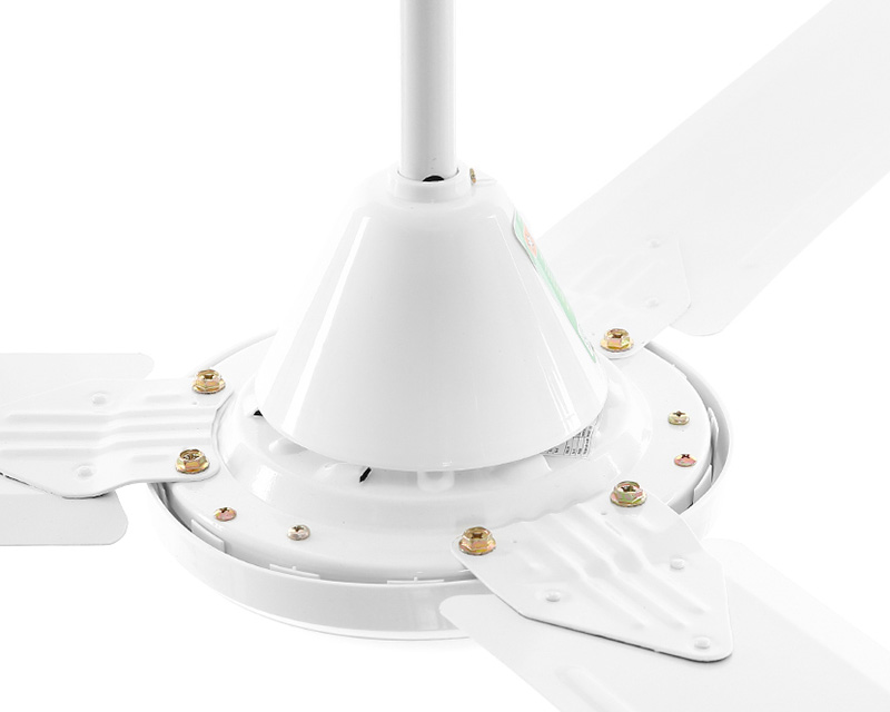 AC ACF01A563 - 70W có đa dạng mức gió tùy chỉnh