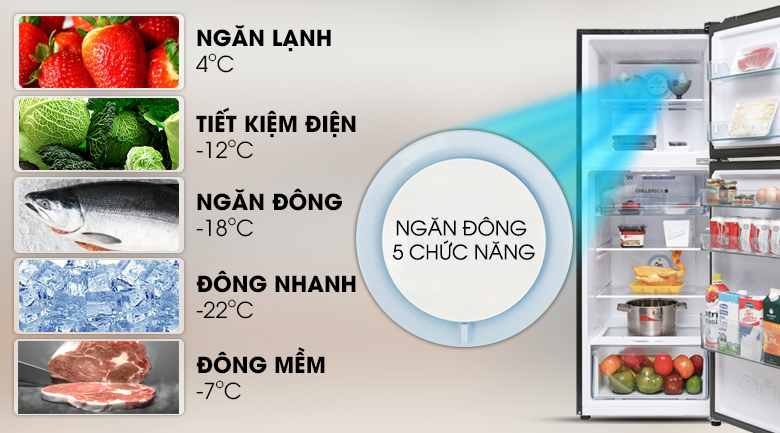 Ngăn làm đông đa chức năng - Tủ lạnh Aqua Inveter 235 lít AQR-IG248EN (GB)