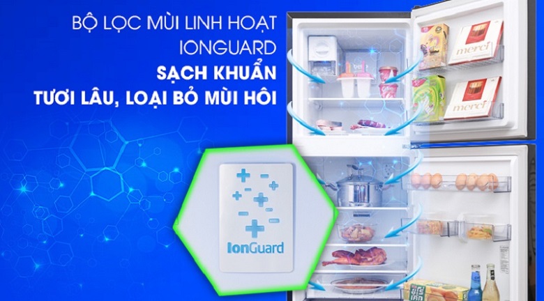 Công nghệ Ion guard - Tủ lạnh Beko Inverter 422 lít RDNT470E50VZJGB