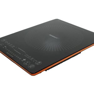 Bếp điện từ đơn Sanaky SNK-ICS20A 1