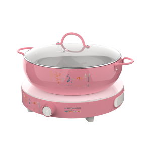 Bếp từ đơn Hawonkoo CEH-101-I-CF/PK 1