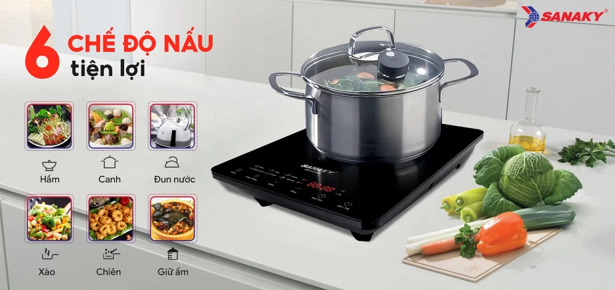 Bếp từ đơn Sanaky VH-3101HY