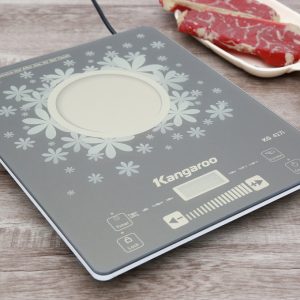 Bếp từ Kangaroo KG417I 2