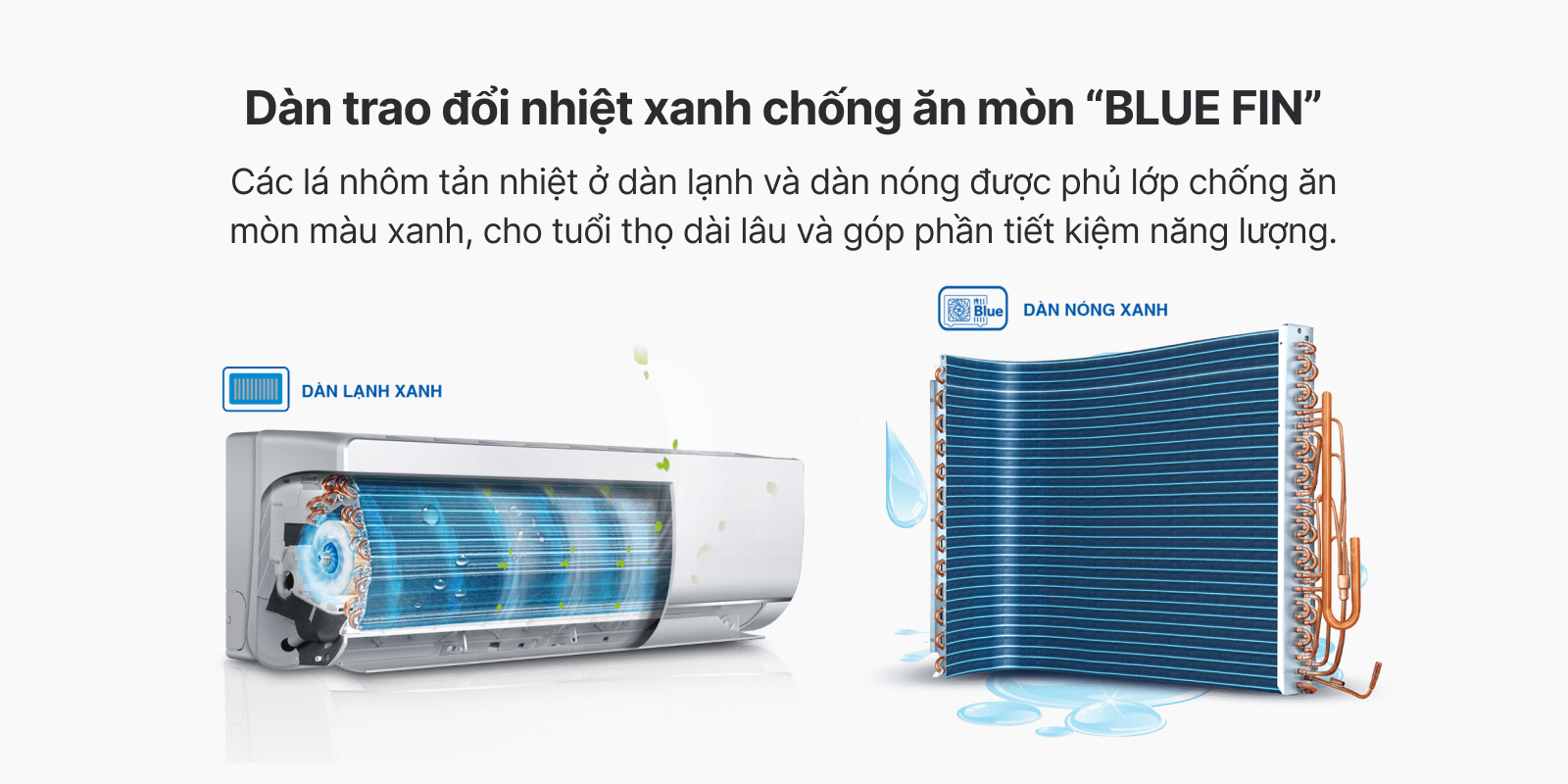 blue-fin BLUE FIN