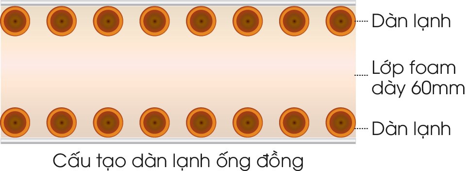 cau tao dan lanh