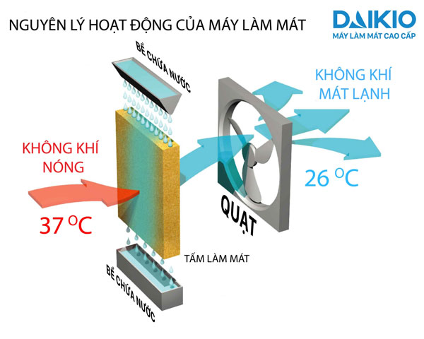 daikio_nguyen_ly_hoat_ong