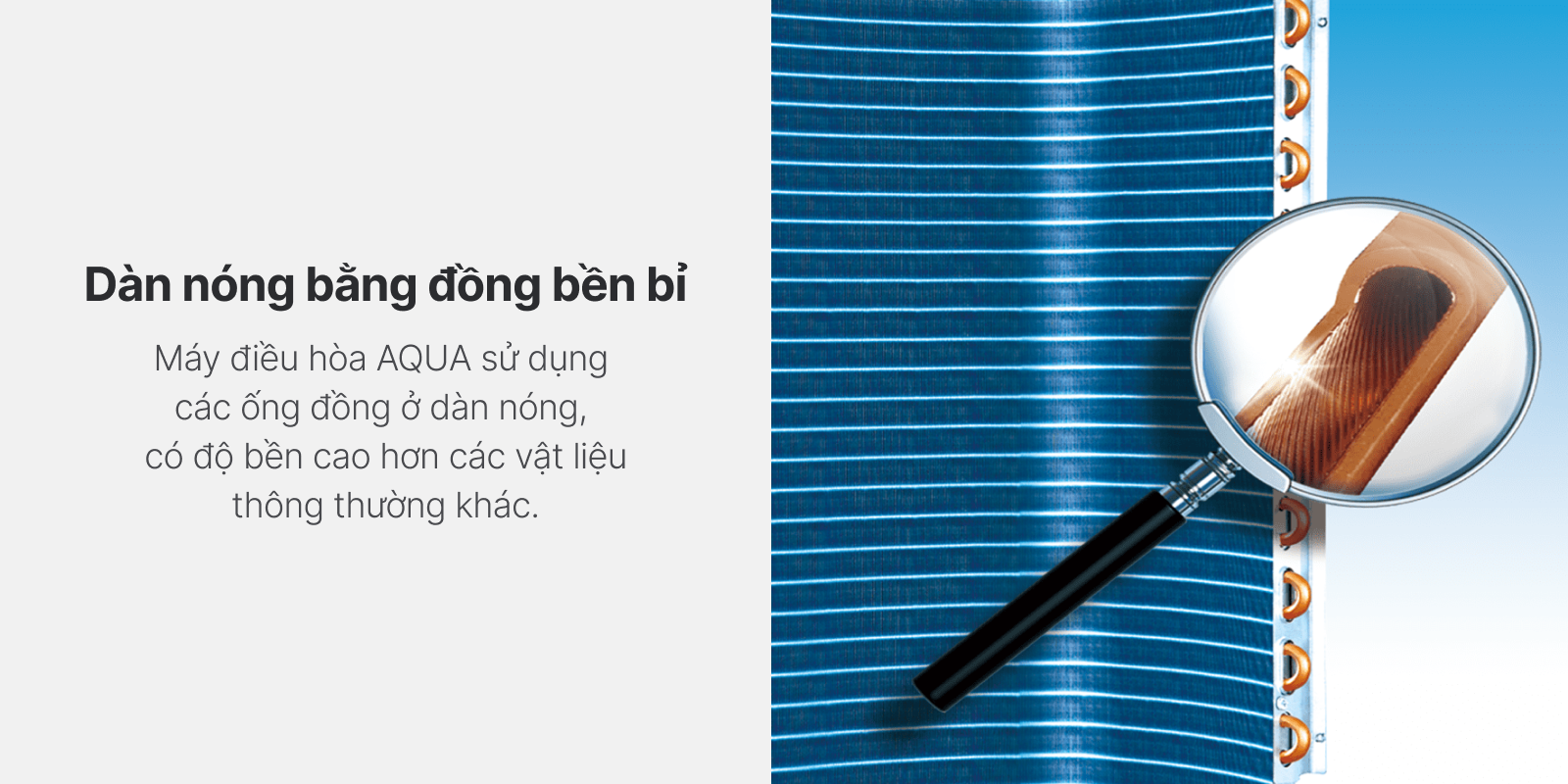 dan-nong-bang-dong-2 Dan nong bang dong 2