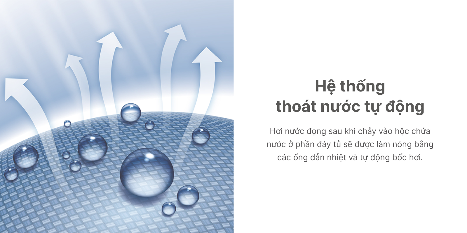 He thong thoat nuoc tu dong