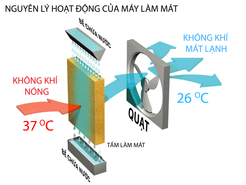 nguyen_ly_hoat_ong_cua_may_lam_mat_daikiosan