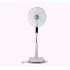 QUẠT ĐỨNG AC 55W - ASF03A165-G/W 0