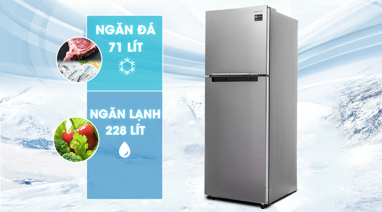 Tủ lạnh Samsung RT29K5012S8/SV