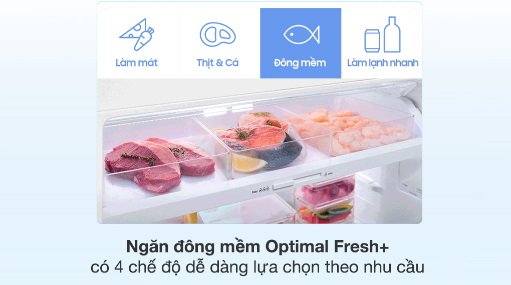 Tủ lạnh Samsung Inverter 406 lít RT42CG6584B1SV - Ngăn đông mềm Optimal Fresh+