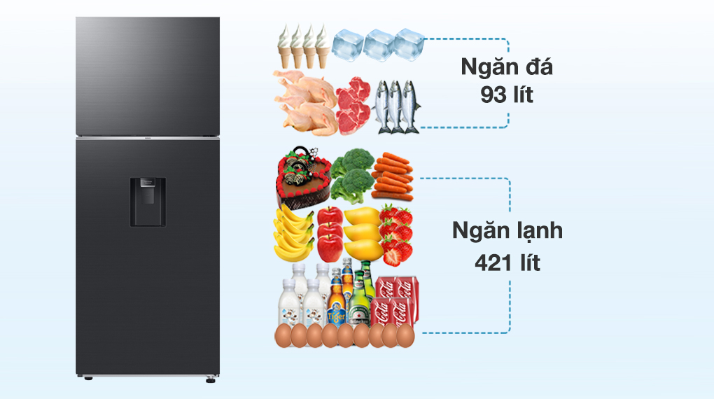 Tủ lạnh Samsung Inverter 406 lít RT42CG6584B1SV - Dung tích
