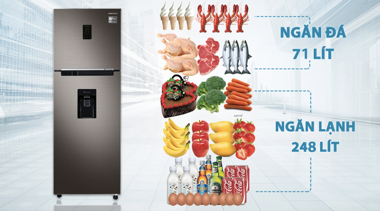 Dung tích Tủ lạnh Samsung Inverter 319 lít RT32K5930DX/SV
