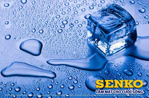Quạt bàn phím bấm senko B1216