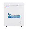 Tủ đông Alaska 300 lít BD-300C 0