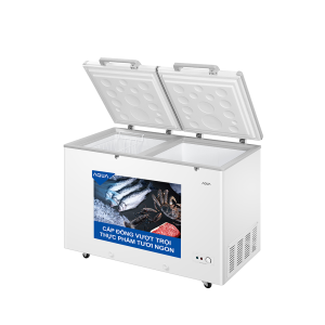 Tủ đông AQUA Inverter 295 lít AQF-C4202E 1