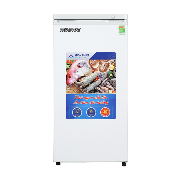 Tủ đông đứng Hòa Phát HUF-450SR1 - Hàng chính hãng 0