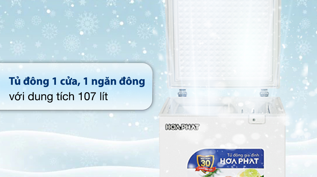Tủ đông Hòa Phát 107 Lít HPF AD6107 - Tổng quan thiết kế