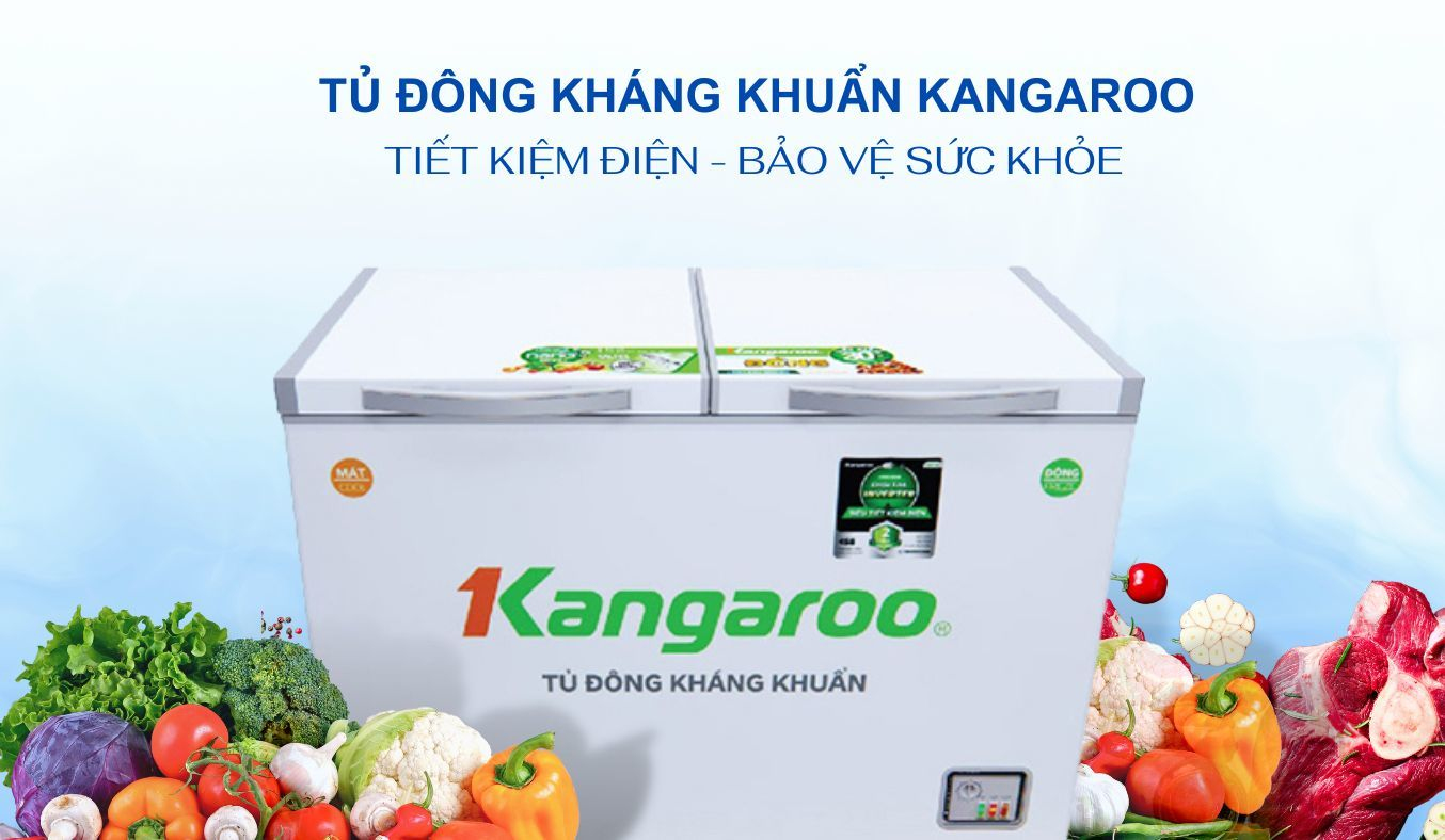 Tủ đông Kangaroo 192 lít KG266NC2 - Digital Inverter tiết kiệm điện