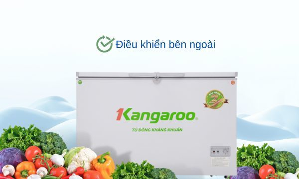 Tủ đông Kangaroo 327 lít KG498C2 bảng điều khiển bên ngoài