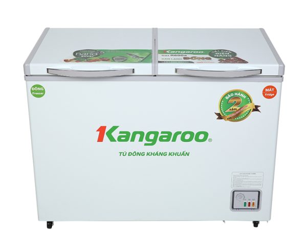 Tủ đông kháng khuẩn 375 lít KGFZ435NC1 1
