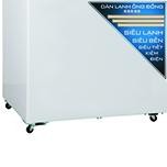 Có 4 bánh xe chịu lực