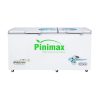 Tủ đông Pinimax PNM-59WF 590 lít 0
