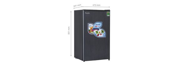 Tủ lạnh Funiki FR-91DSU 2
