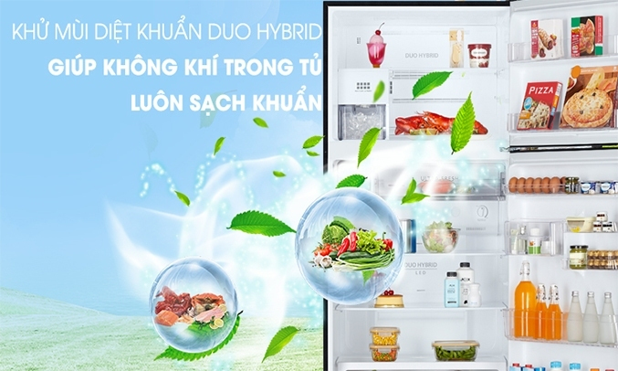 Tủ lạnh Hitachi Inverter 349 lít R-FVY480PGV0 (GBK) - Khử mùi kháng khuẩn