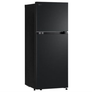 Tủ lạnh LG 217 lít LTB21BLMD 1