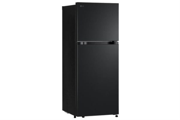 Tủ lạnh LG 217 lít LTB21BLMD 1
