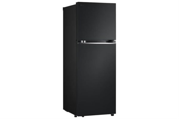 Tủ lạnh LG Inverter 315 lít LTB31BLMA 1