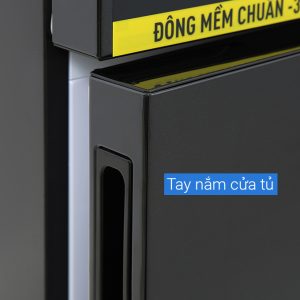 Tủ lạnh Panasonic Inverter 377 lít NR-BX421GPKV 10