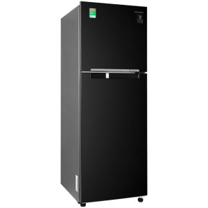 Tủ lạnh Samsung Inverter 236 lít RT22M4032BU/SV 2