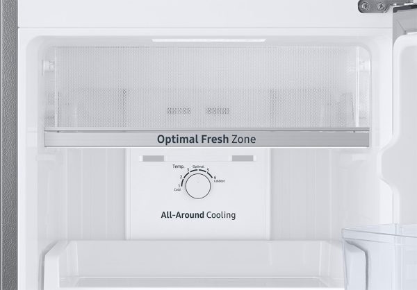 Tủ lạnh Samsung Inverter 236 lít RT22M4032BY/SV 5