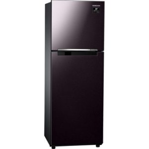 Tủ lạnh Samsung Inverter 236 lít RT22M4032BY/SV 2