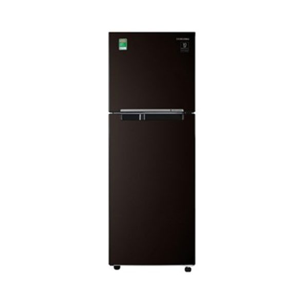 Tủ lạnh Samsung Inverter 256 lít RT25M4032BU/SV 0