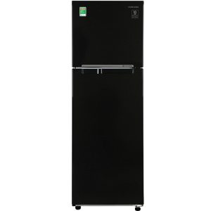 Tủ lạnh Samsung Inverter 256 lít RT25M4032BU/SV 1
