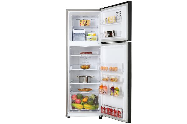 Tủ lạnh Samsung Inverter 256 lít RT25M4032BU/SV 3