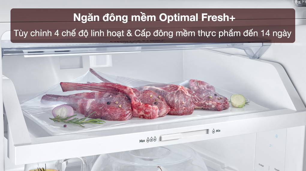 Tủ lạnh Samsung Inverter 305 lít RT31CG5424B1SV - Ngăn đông mềm Optimal Fresh+ tùy chỉnh 4 chế độ bảo quản thực phẩm linh hoạt, cấp đông và duy trì độ tươi ngon đến 14 ngày