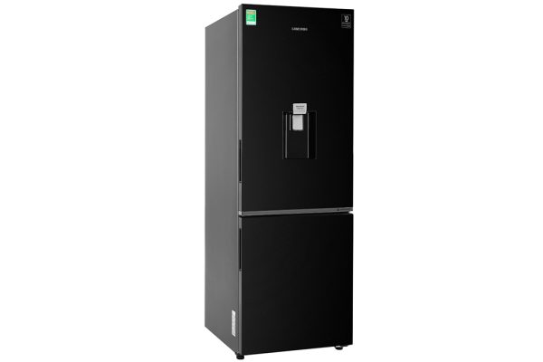 Tủ lạnh Samsung Inverter 307 lít RB30N4170BU/SV 1