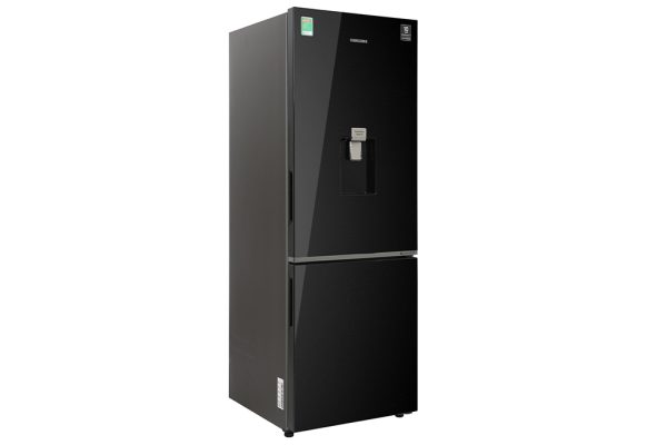 Tủ lạnh Samsung Inverter 307 lít RB30N4190BU/SV 1