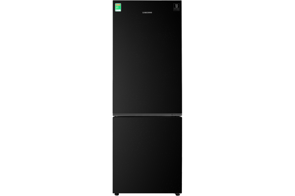 Tủ lạnh Samsung Inverter 310 lít RB30N4010BU/SV 0