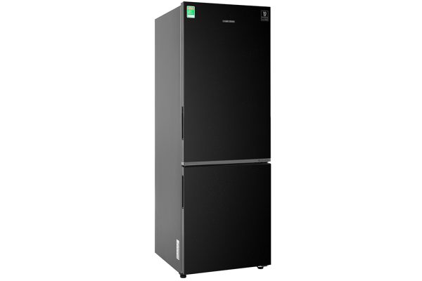 Tủ lạnh Samsung Inverter 310 lít RB30N4010BU/SV 1