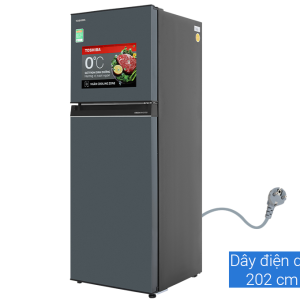Tủ lạnh Toshiba Inverter 253 lít GR-RT329WE-PMV(52) 1