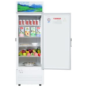 Tủ Mát Sanaky 300 lít VH-3089K 4