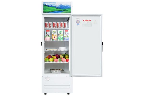 Tủ Mát Sanaky 300 lít VH-3089K 4